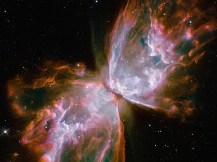 Hubble Butterfly Desktop