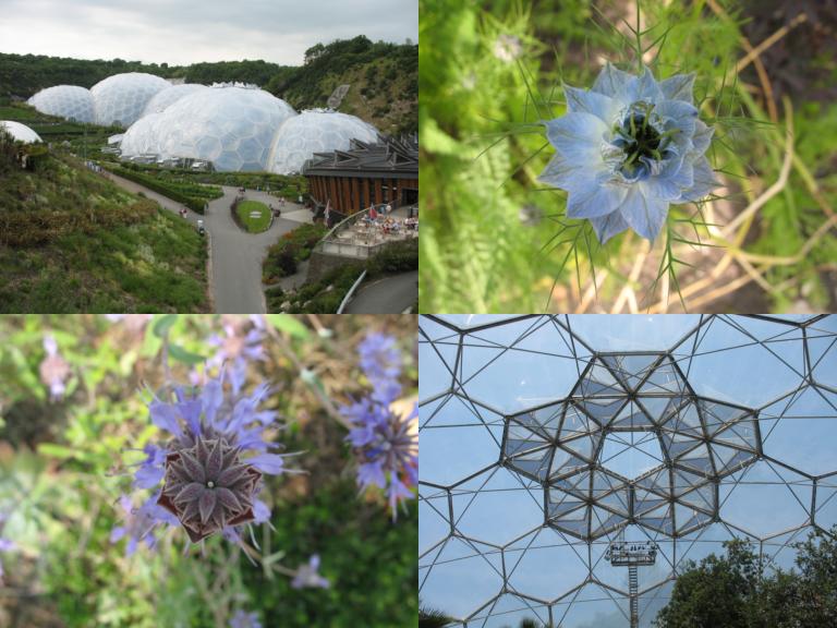 Pictures from the Eden Project